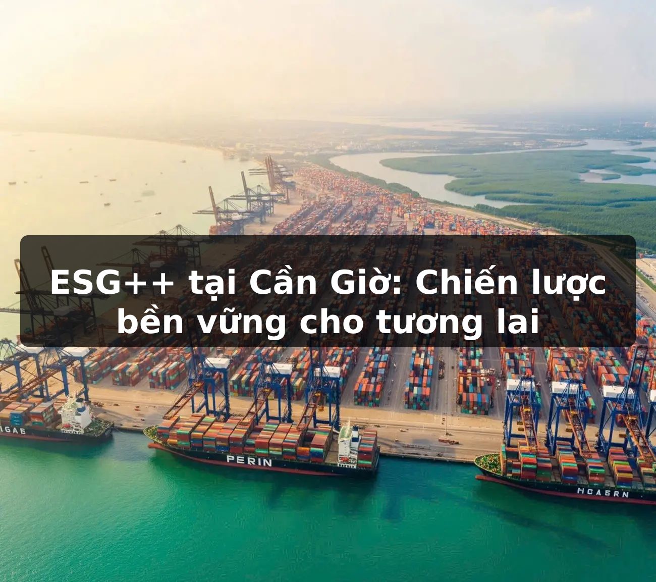 ESG++ tại Cần Giờ: Chiến lược bền vững cho tương lai
