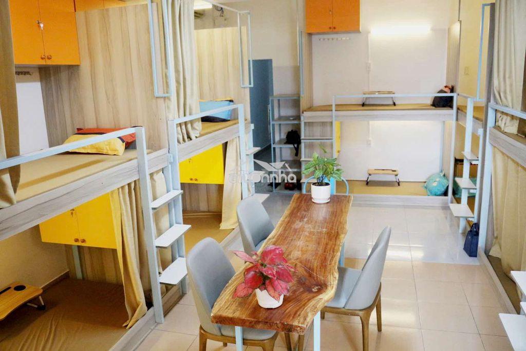 Ở ghép và thuê nguyên căn: Lựa chọn nào phù hợp với bạn?